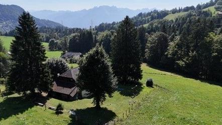 A vendre 1832 Chamby Chalet 15 pièce(s)