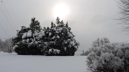 A vendre 1807 Blonay Maison 7 pièce(s)