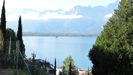 A vendre 1820 Veytaux Appartement 4.5 pièce(s)